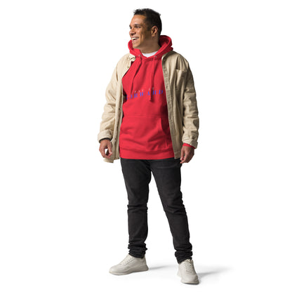 Image 23 of Charcoal Heather Forward Kind Hoodie - Left Placement, size 2XL, with Pay It Forward artwork visible in front view.