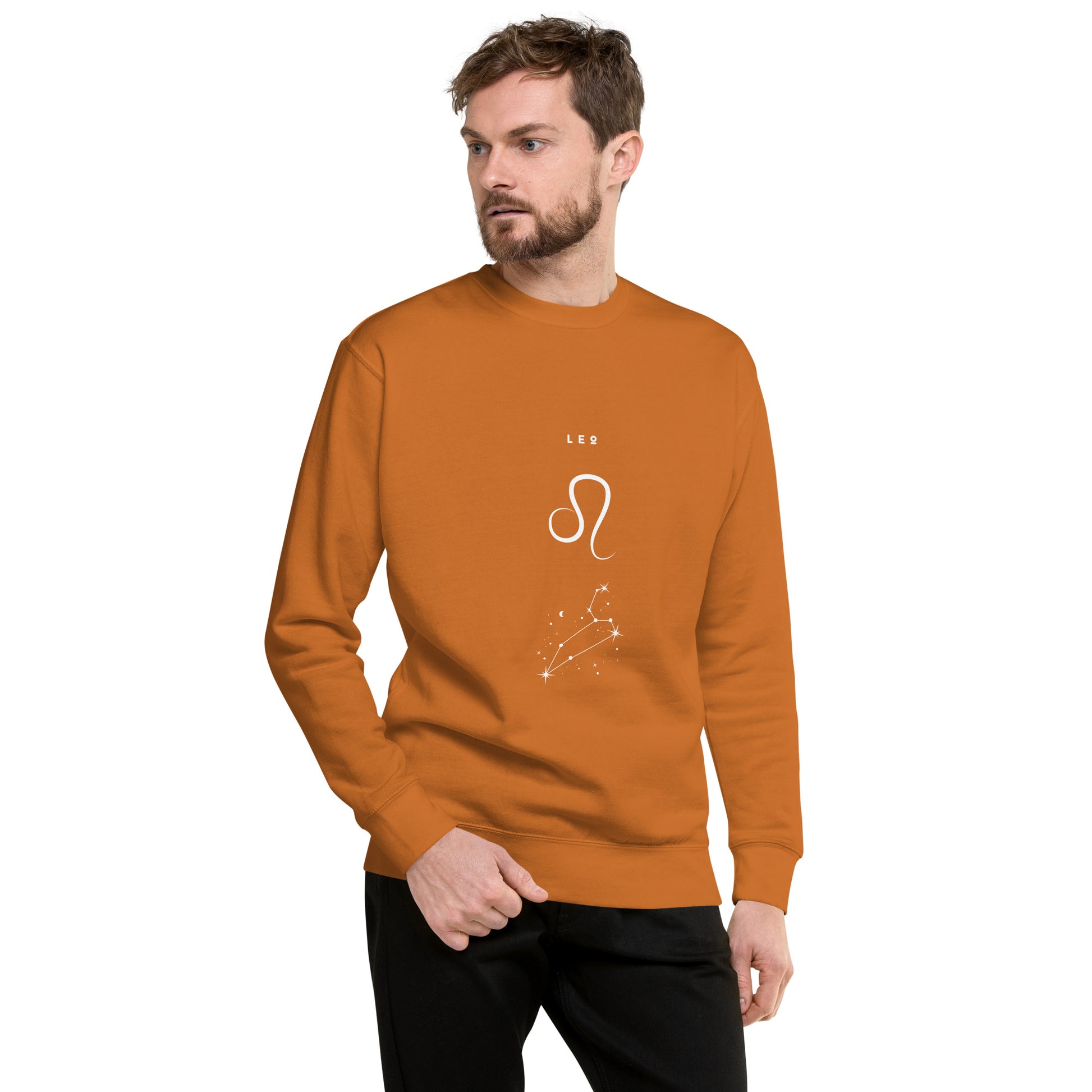 Solmane Sweatshirt - Left Placement image 49 in Carbon Grey, size S, showing front view for the Leo design.