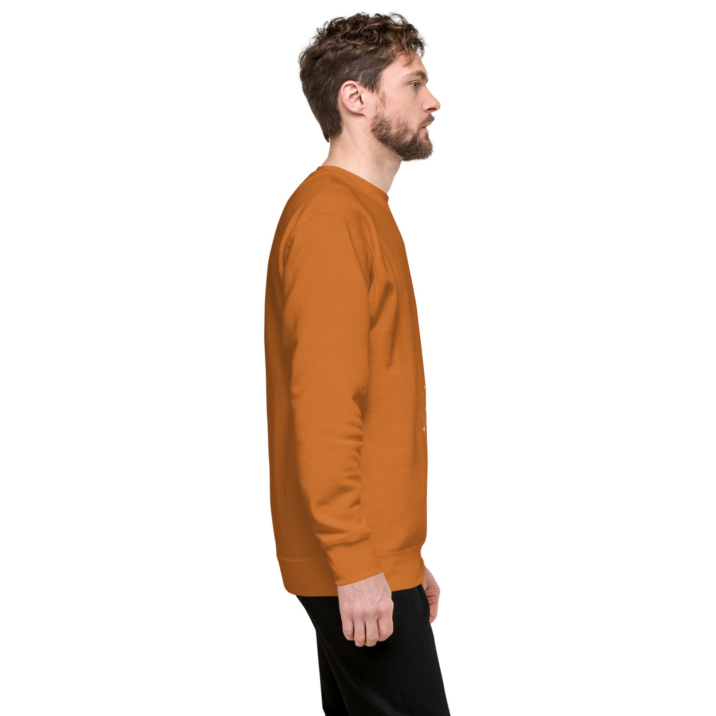 Solmane Sweatshirt - Left Placement image 54: Agave version, size M with right-side angle of the Leo range.