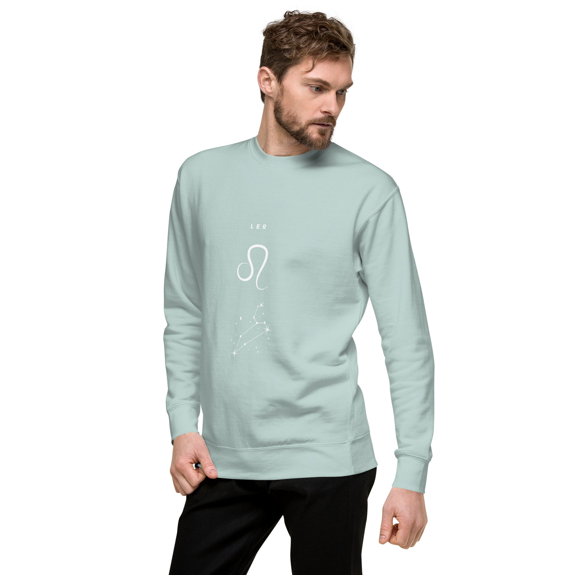 Image 81 of selected colour Solmane Sweatshirt - Left Placement, with Leo artwork visible in front view, left-side angle.
