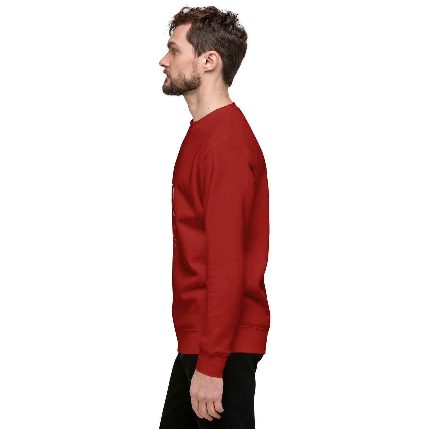 Solmane Sweatshirt - Left Placement image 14: Charcoal Heather version, size M with left-side angle of the Leo range.