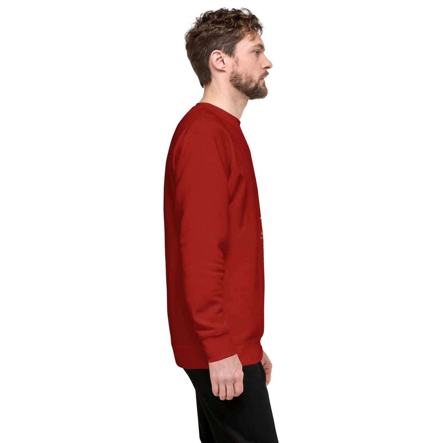 Image 17 of Team Royal Twin Signal Sweatshirt - Left Placement, size S, with Gemini artwork visible in right-side angle.