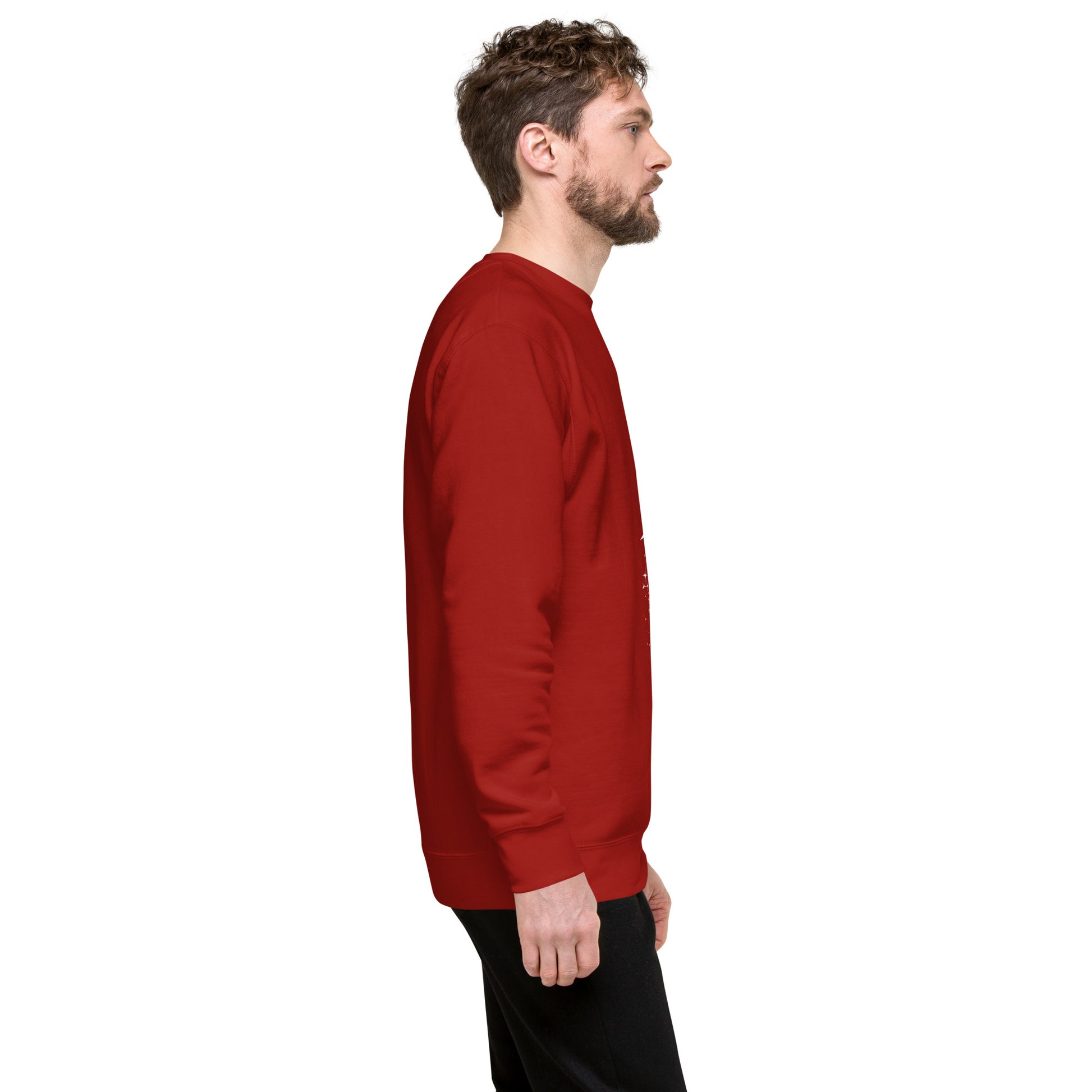 Image 17 of Team Royal Twin Signal Sweatshirt - Left Placement, size S, with Gemini artwork visible in right-side angle.