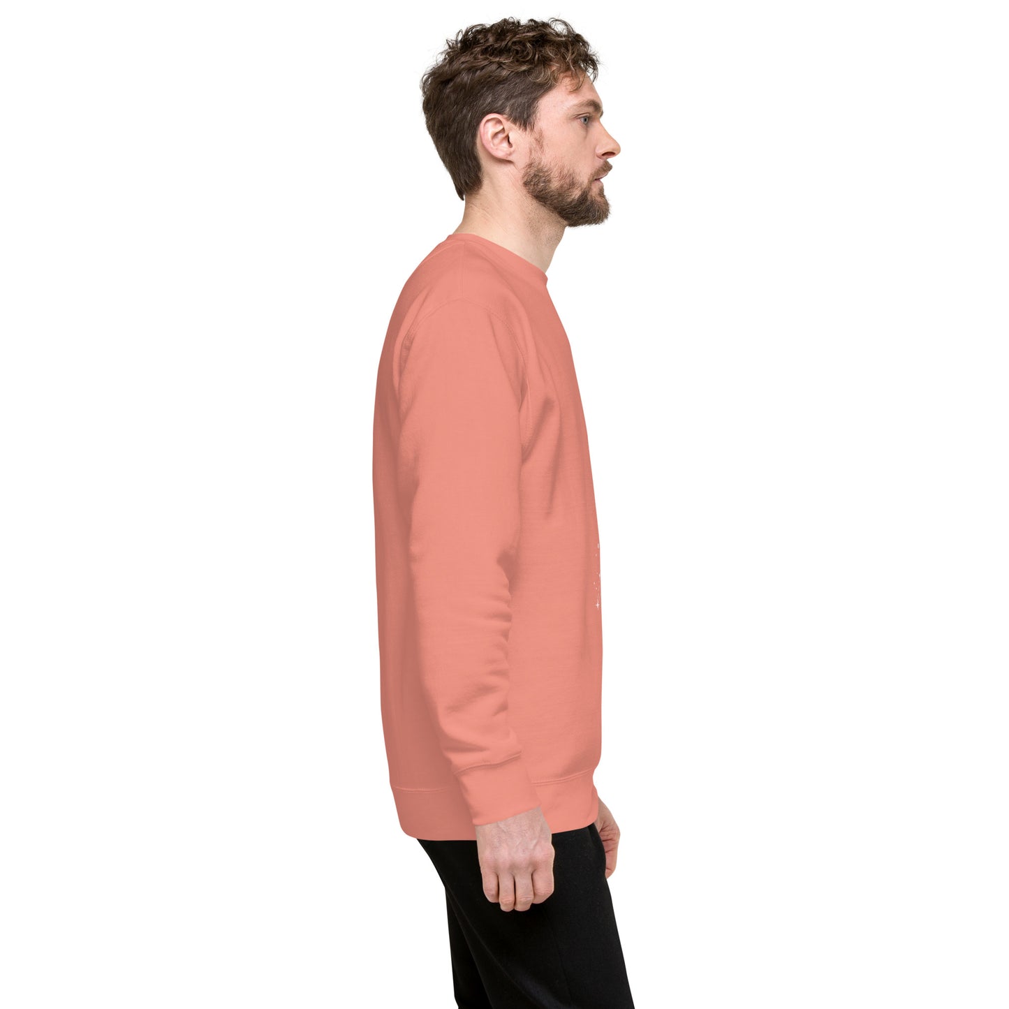 Solmane Sweatshirt - Left Placement product image 65 in Bone, size S, with right-side angle and left placement.