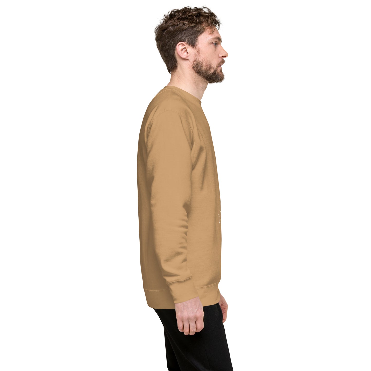 Image 72 of Sky Blue Solmane Sweatshirt - Left Placement, size XL, with Leo artwork visible in right-side angle.