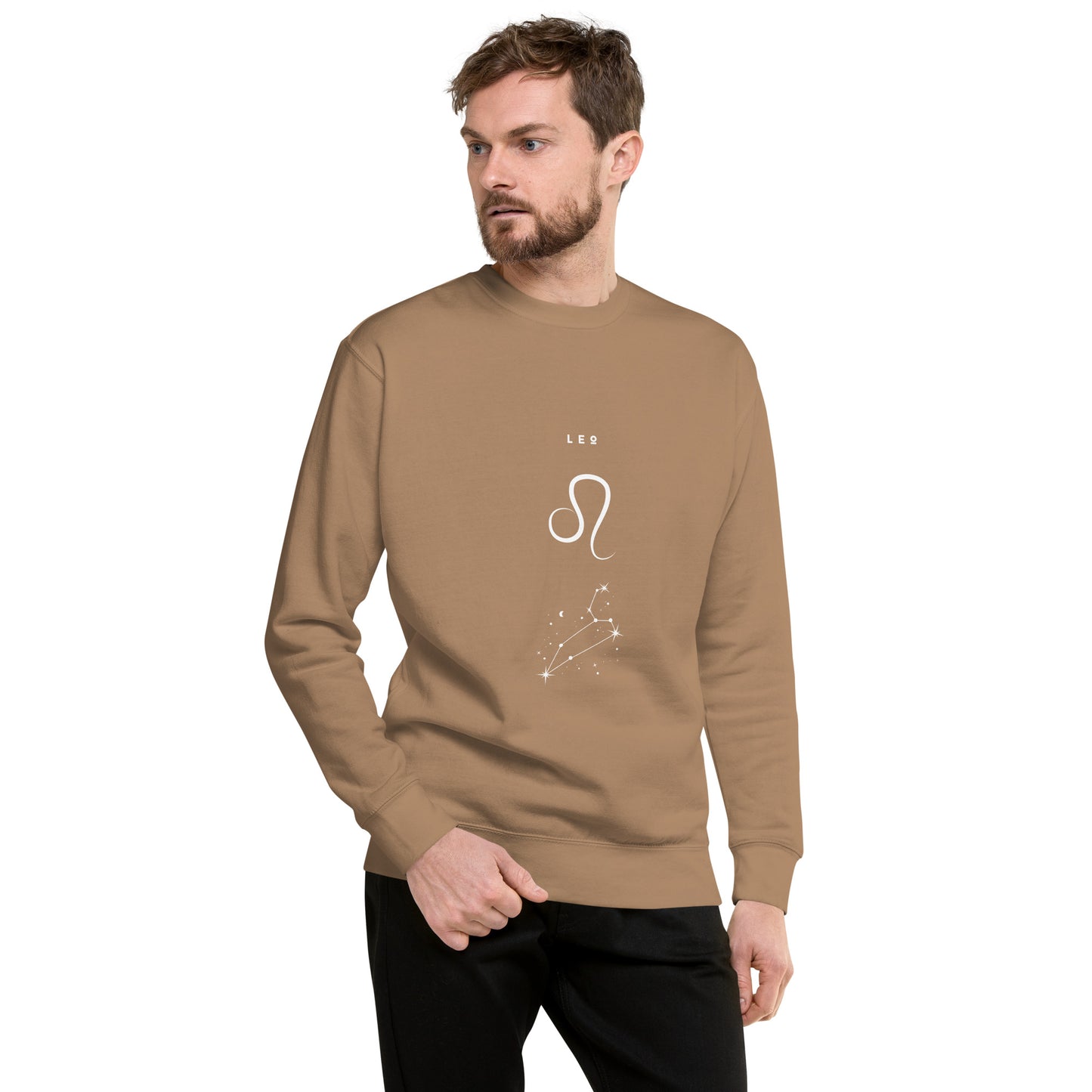 Solmane Sweatshirt - Left Placement product image 55 in Agave, size L, with front view and left placement.