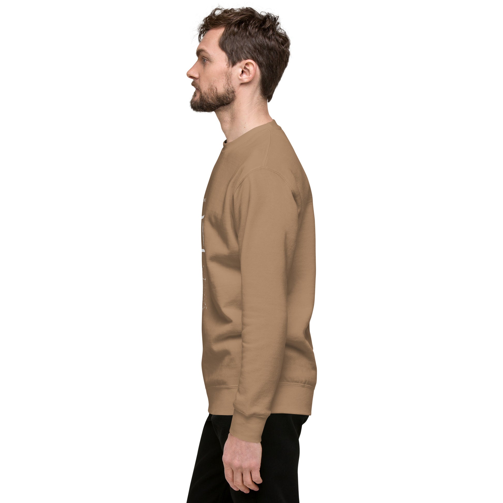 Twin Signal Sweatshirt - Left Placement image 58 in Light Pink, size M, showing left-side angle for the Gemini design.