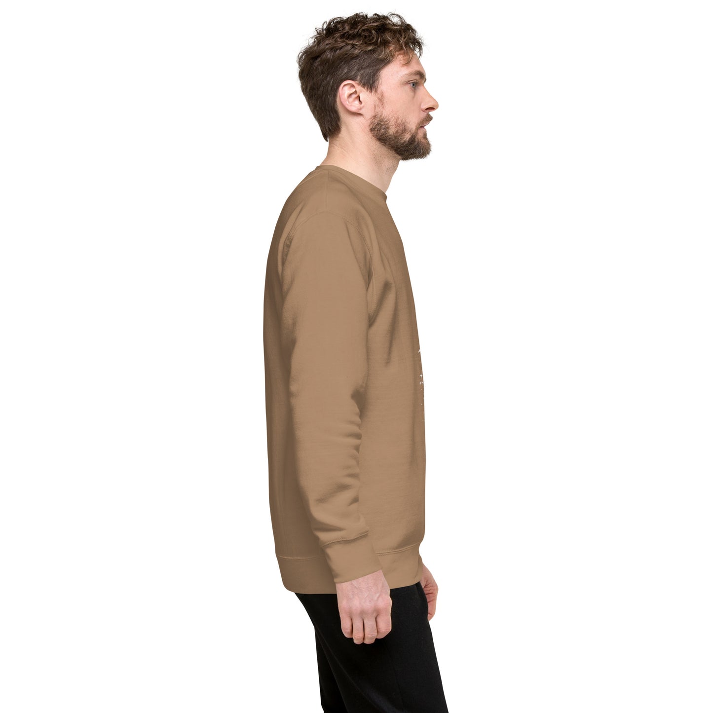 Twin Signal Sweatshirt - Left Placement by R.A. Apparel, image 60, right-side angle, Light Pink, size XL, left placement.
