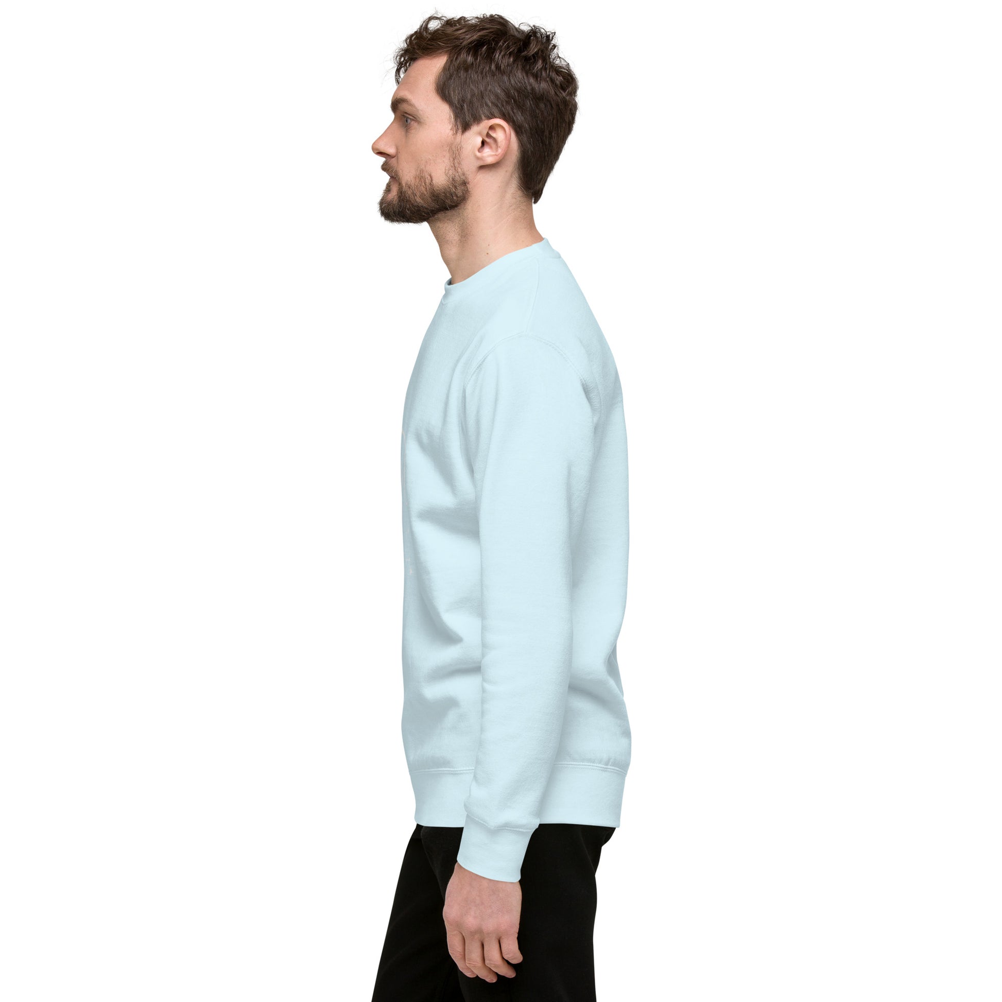 Image 106 of selected colour Solmane Sweatshirt - Left Placement, with Leo artwork visible in left-side angle.