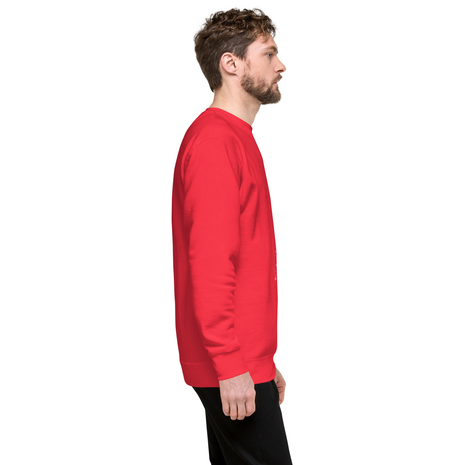 Solmane Sweatshirt - Left Placement image 47 in Khaki, size L, showing right-side angle for the Leo design.