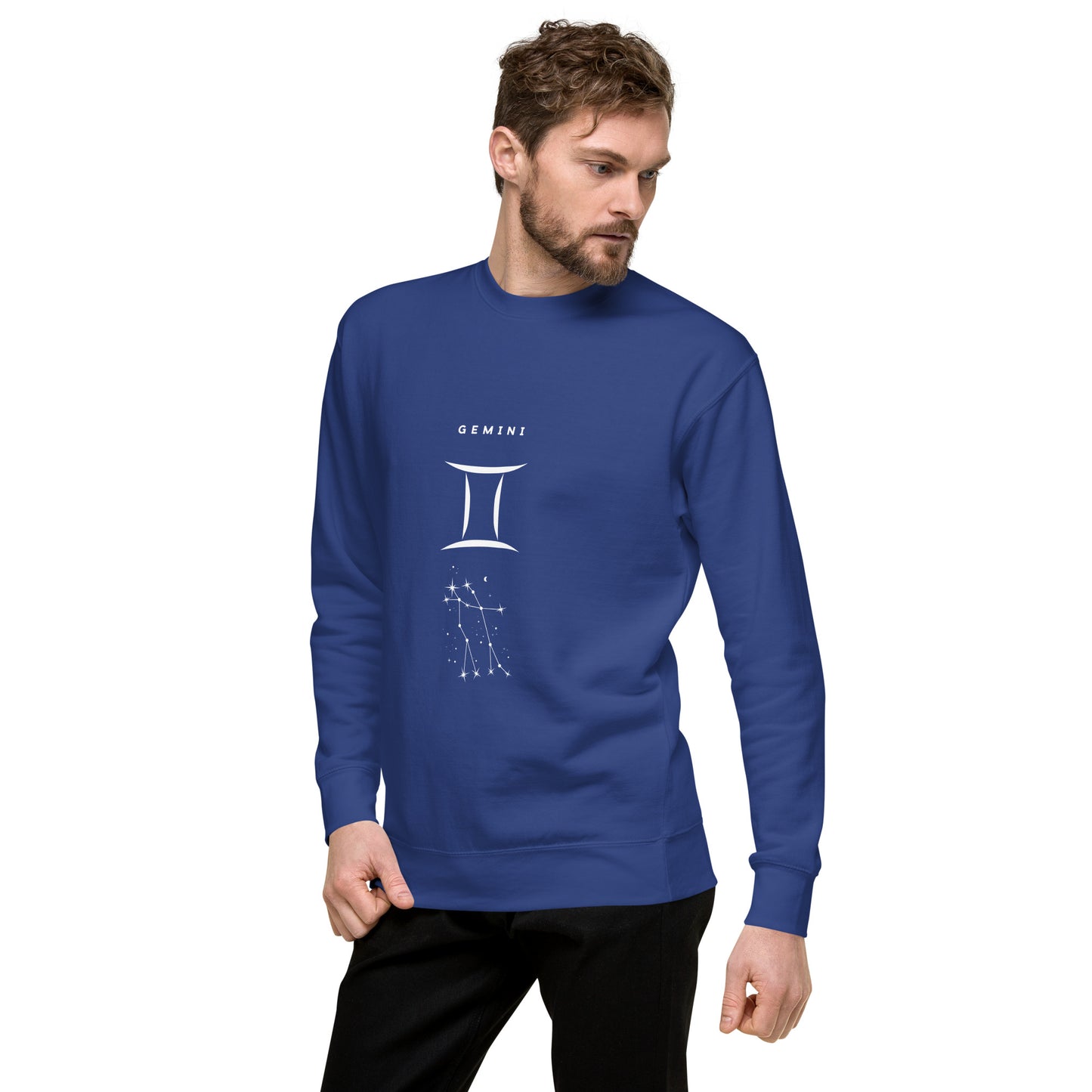 Twin Signal Sweatshirt - Left Placement image 27: Forest Green version, size L with front view, left-side angle of the Gemini range.