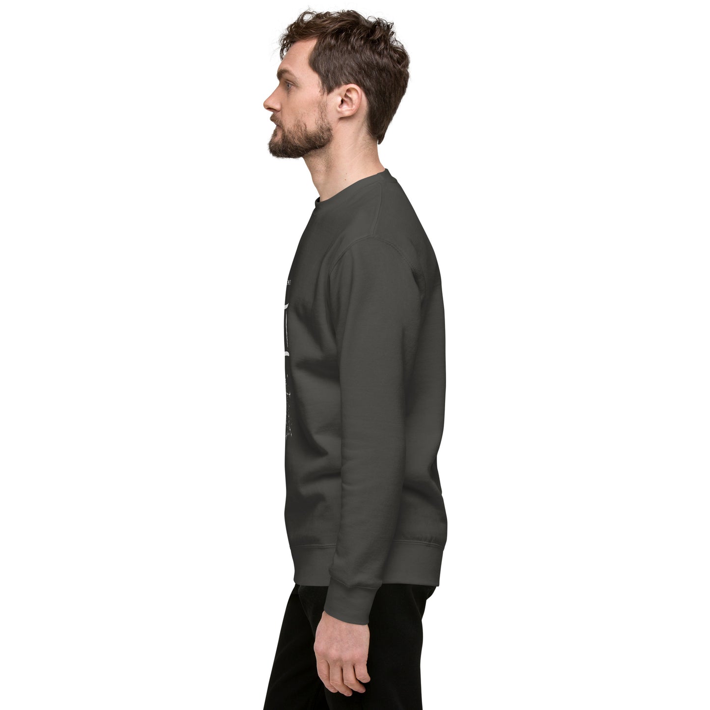 Twin Signal Sweatshirt - Left Placement image 33: Adobe version, size S with left-side angle of the Gemini range.