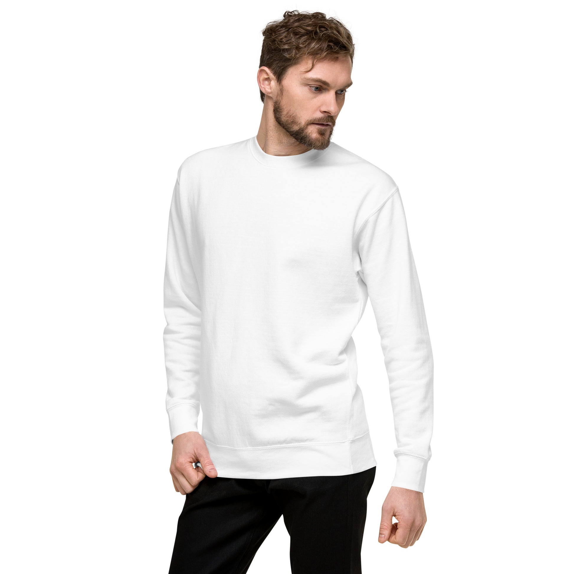 Image 111 of selected colour Twin Signal Sweatshirt - Left Placement, with Gemini artwork visible in front view, left-side angle.