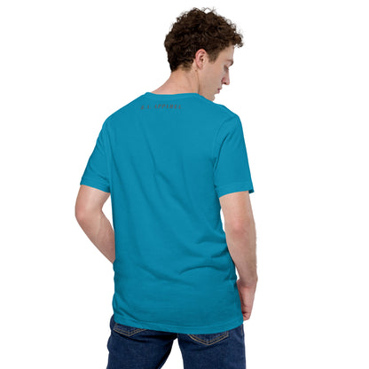 Quacksy T-Shirt by R.A. Apparel, image 54, back view, Aqua, size XL, design placement.