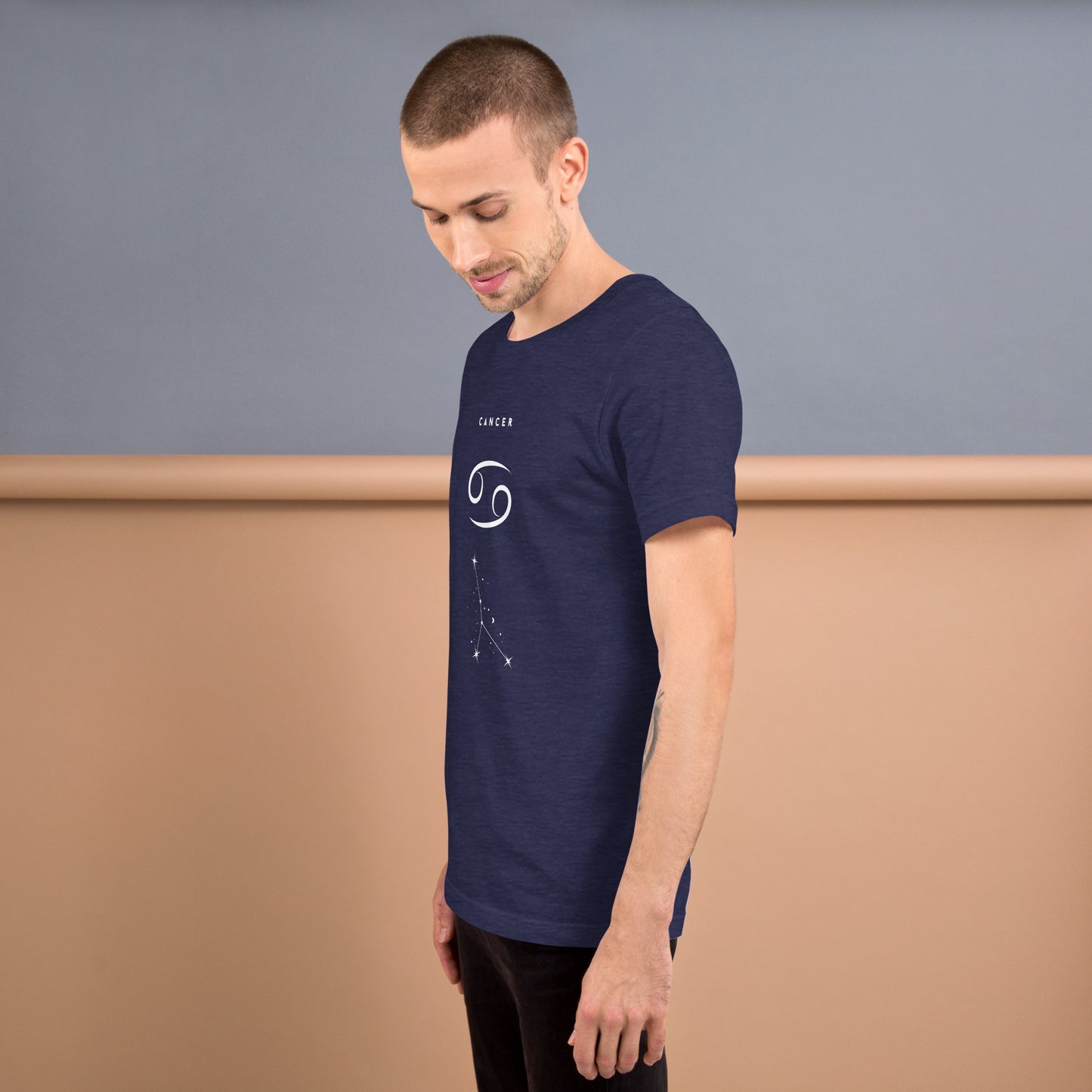 Moonhaven T-Shirt image 43: Brown version, size L with left-side angle of the Cancer range.