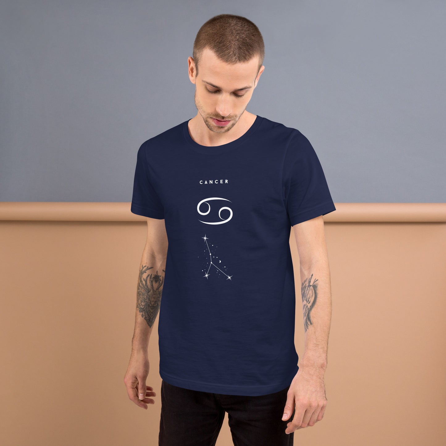 Moonhaven T-Shirt image 21: Team Purple version, size S with front view of the Cancer range.