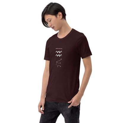 Waterbearer T-Shirt - Left Placement image 40 in Dark Grey, size XS, showing front view, left-side angle for the Aquarius design.